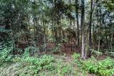 3 Acres Sky Oak Lane - Photo 10