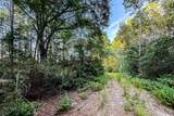 3 Acres Sky Oak Lane - Photo 11