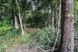 3 Acres Sky Oak Lane - Photo 13