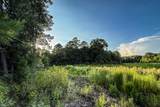 3 Acres Sky Oak Lane - Photo 16