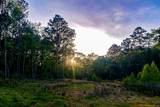 3 Acres Sky Oak Lane - Photo 17