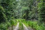 3 Acres Sky Oak Lane - Photo 4