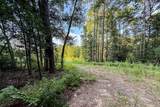 3 Acres Sky Oak Lane - Photo 5