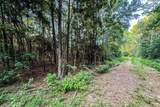 3 Acres Sky Oak Lane - Photo 8
