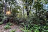 3 Acres Sky Oak Lane - Photo 9