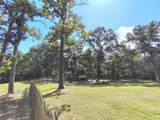 25934 Pine Oak Drive - Photo 31