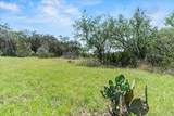 1001 Bluff View Road - Photo 8