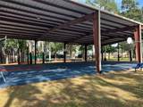 30303 Castle Forest Drive - Photo 37