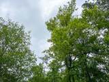 000 Cravens Camp Road - Photo 2