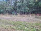 0 Dottie Ln Lane - Photo 3
