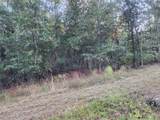 0 Dottie Ln Lane - Photo 4