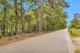 15711 Tree Monkey Rd - Photo 4