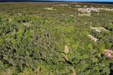 15711 Tree Monkey Rd - Photo 6