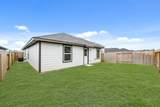 14351 Leafy Willow Drive - Photo 19