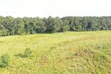 TBD David Hon Rd - Photo 33