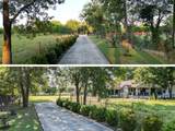 9731 Hadden Road - Photo 10