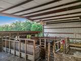 9731 Hadden Road - Photo 7
