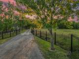 9731 Hadden Road - Photo 8