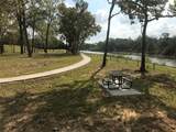 32707 Waterfowl Drive - Photo 21