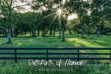 8321 Equestrian Lane - Photo 1