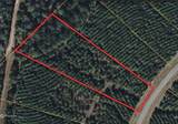 15705 Ridge Rock Road - Photo 1