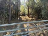 28655 Joseph Road - Photo 6
