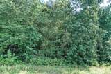 Lot 98 Red Hawk Road - Photo 5