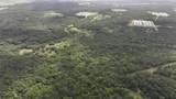 TBD Rose Hill Rd / Pleasant Rd - Photo 15