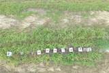 0 County Road 214 Williams Road - Photo 18