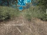 TBD Jackrabbit  Lane Lane - Photo 11