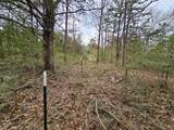TBD Jackrabbit  Lane Lane - Photo 3