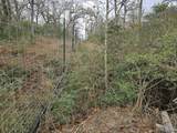 TBD Jackrabbit  Lane Lane - Photo 8
