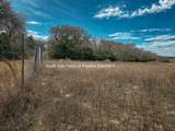 TBD Jackrabbit  Lane Lane - Photo 9