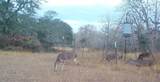 0 Old Seguin Luling Road - Photo 12