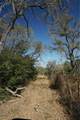 0 Old Seguin Luling Road - Photo 22