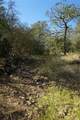 0 Old Seguin Luling Road - Photo 23