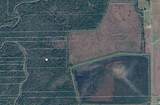 0 Jobe Wilson Road - Photo 1