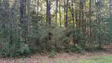 LOT 19 Silver Birch - Photo 4