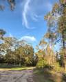 3430 Harden Holly Road - Photo 5