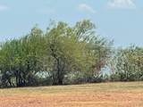 0000 Grand Oasis Drive - Photo 11