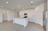26514 Foxtail Fern Drive - Photo 10