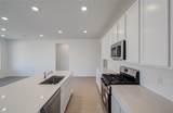 26514 Foxtail Fern Drive - Photo 11