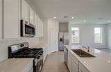 26514 Foxtail Fern Drive - Photo 12