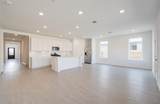 26514 Foxtail Fern Drive - Photo 13