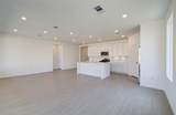 26514 Foxtail Fern Drive - Photo 14
