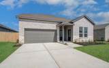 26514 Foxtail Fern Drive - Photo 2