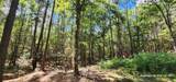 TBD County Road 405 - Photo 1
