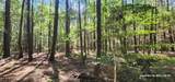 TBD County Road 405 - Photo 11