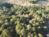 TBD County Road 405 - Photo 12