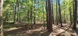 TBD County Road 405 - Photo 13
